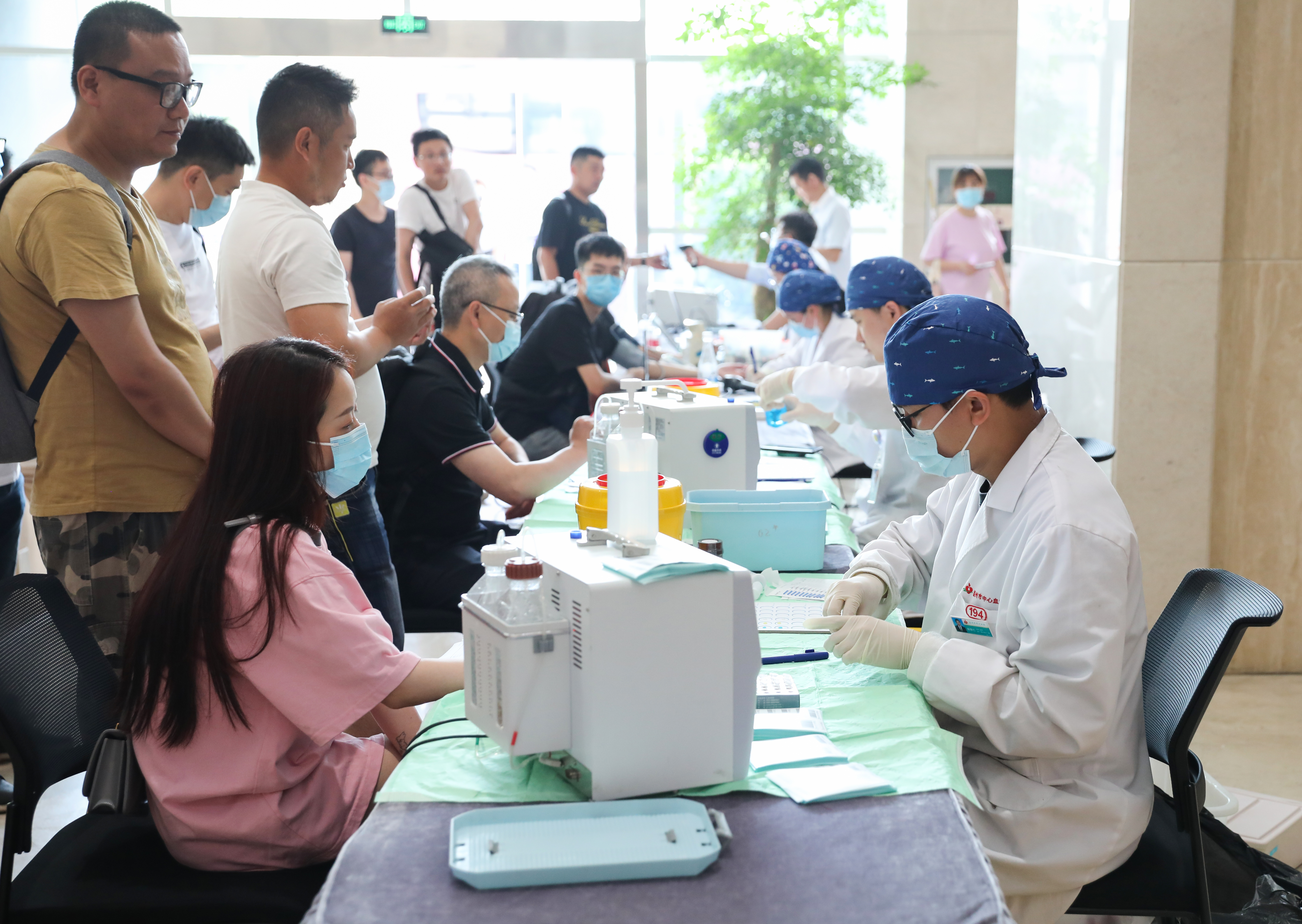 温州港集团开展2023年度职工义务献血活动